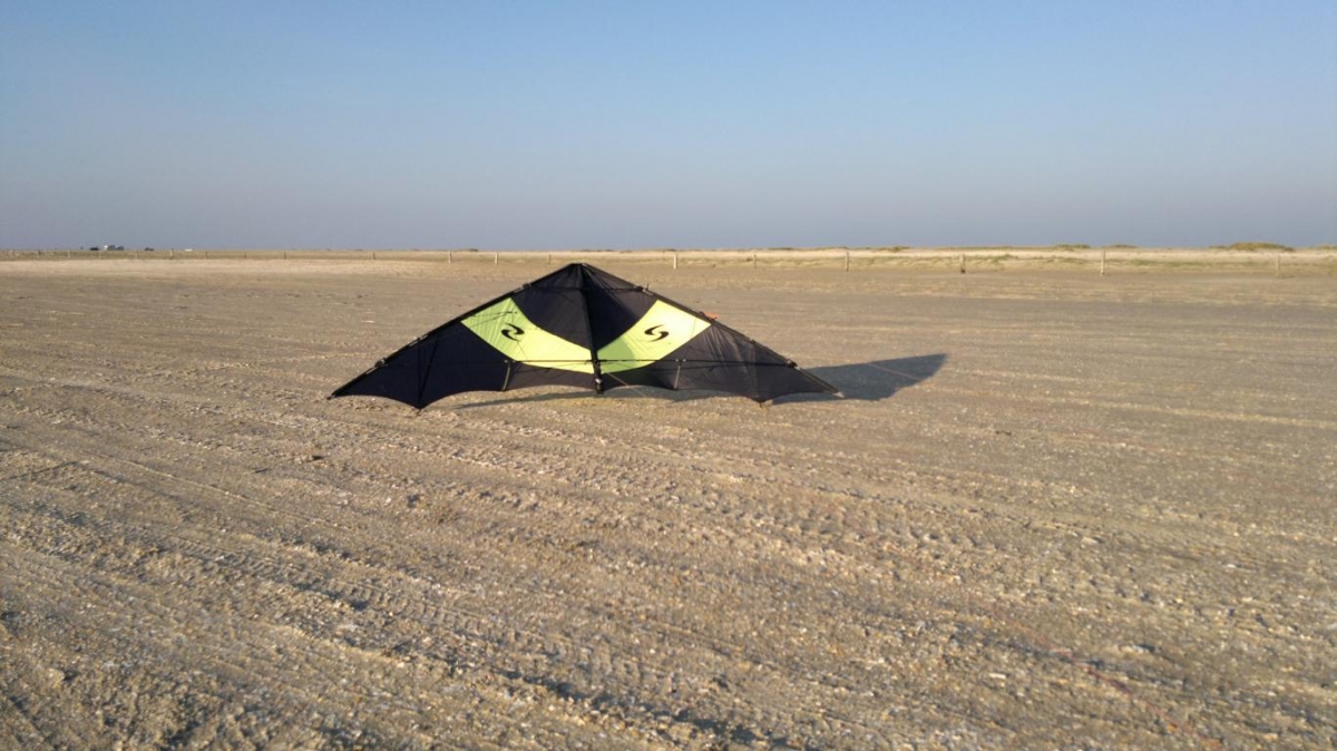 Devil Wing 3 von SPACE KITES