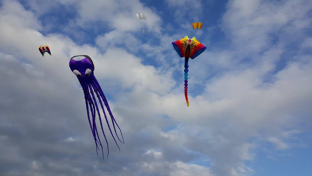 Nikolausfliegen 2015