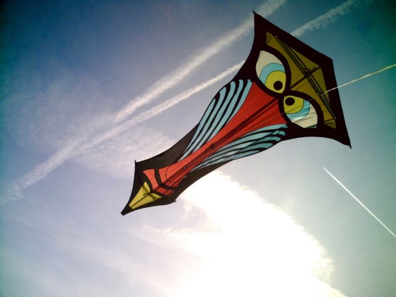 Premier Kites Mandril von Ron Gibian