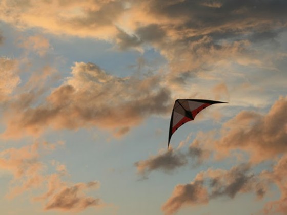 Topas 4.5 (Space Kites)