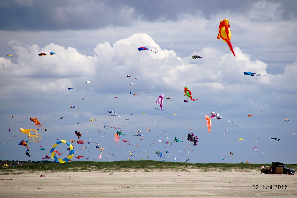 Fanø Kitefliers Meeting 2016