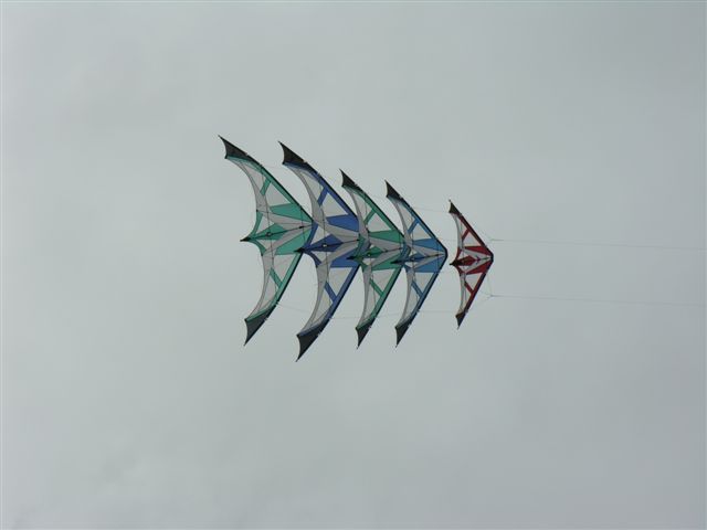 5er Gespann Long Dart Team Gaze