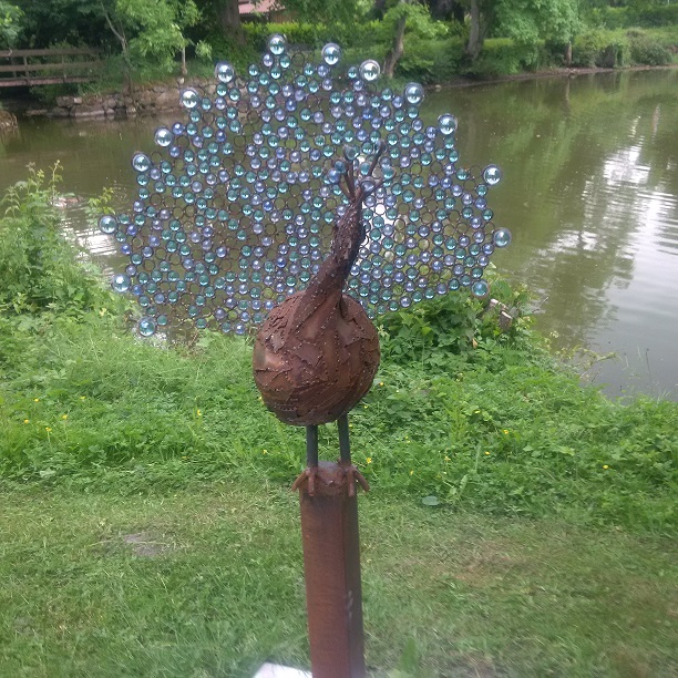 pfau