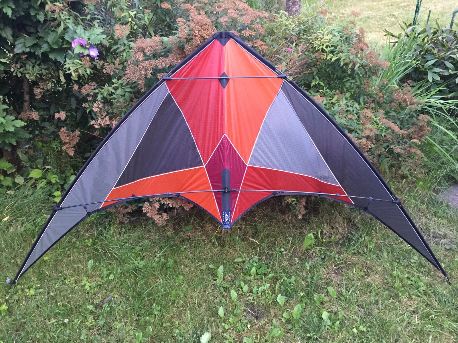 Spacekites Topas 2.2 Red Reflex