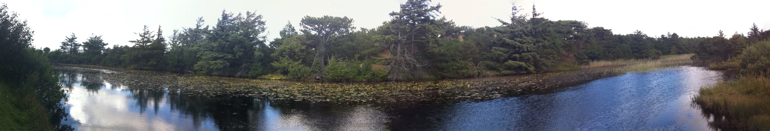 Seerosenteich - Pæleberg - Fanø