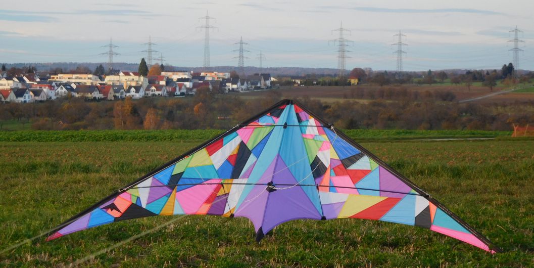 Long Dart 2 Vario von Günter Wolsing...im November 2016 auf der Hauswiese...