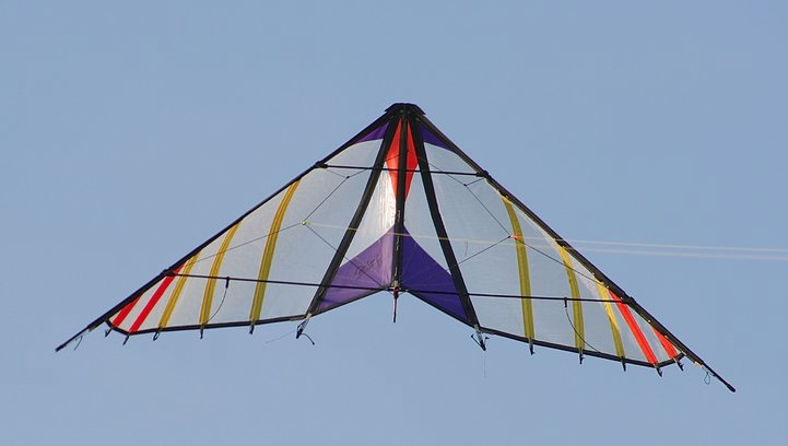 Long Duong Guépard Mylar