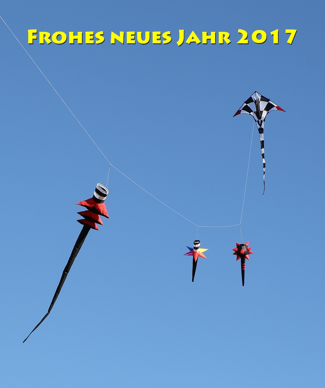 Neujahrsfliegen 2017