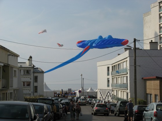 Berck-sur-Mer  2011
