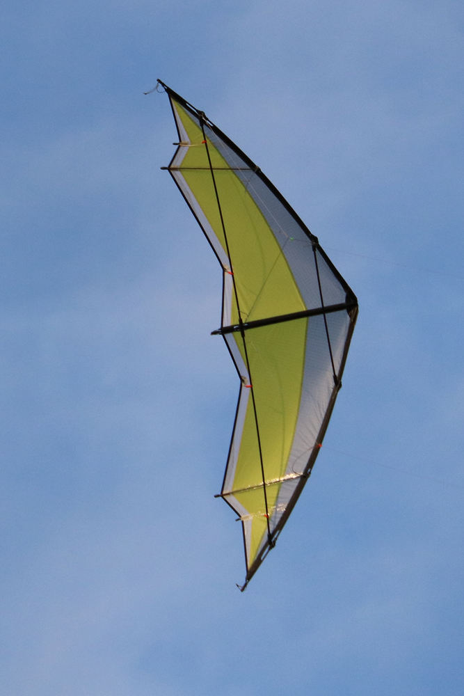 Dat Leichte Schantalle von Nasenbär Drachen