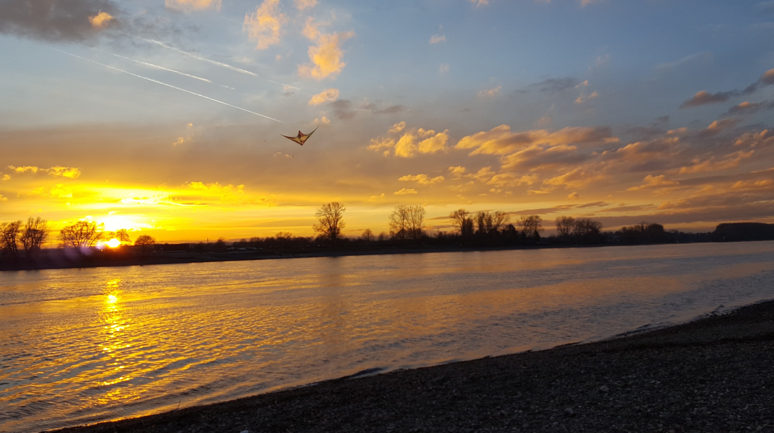 X-kite am Rhein-Siegmündung