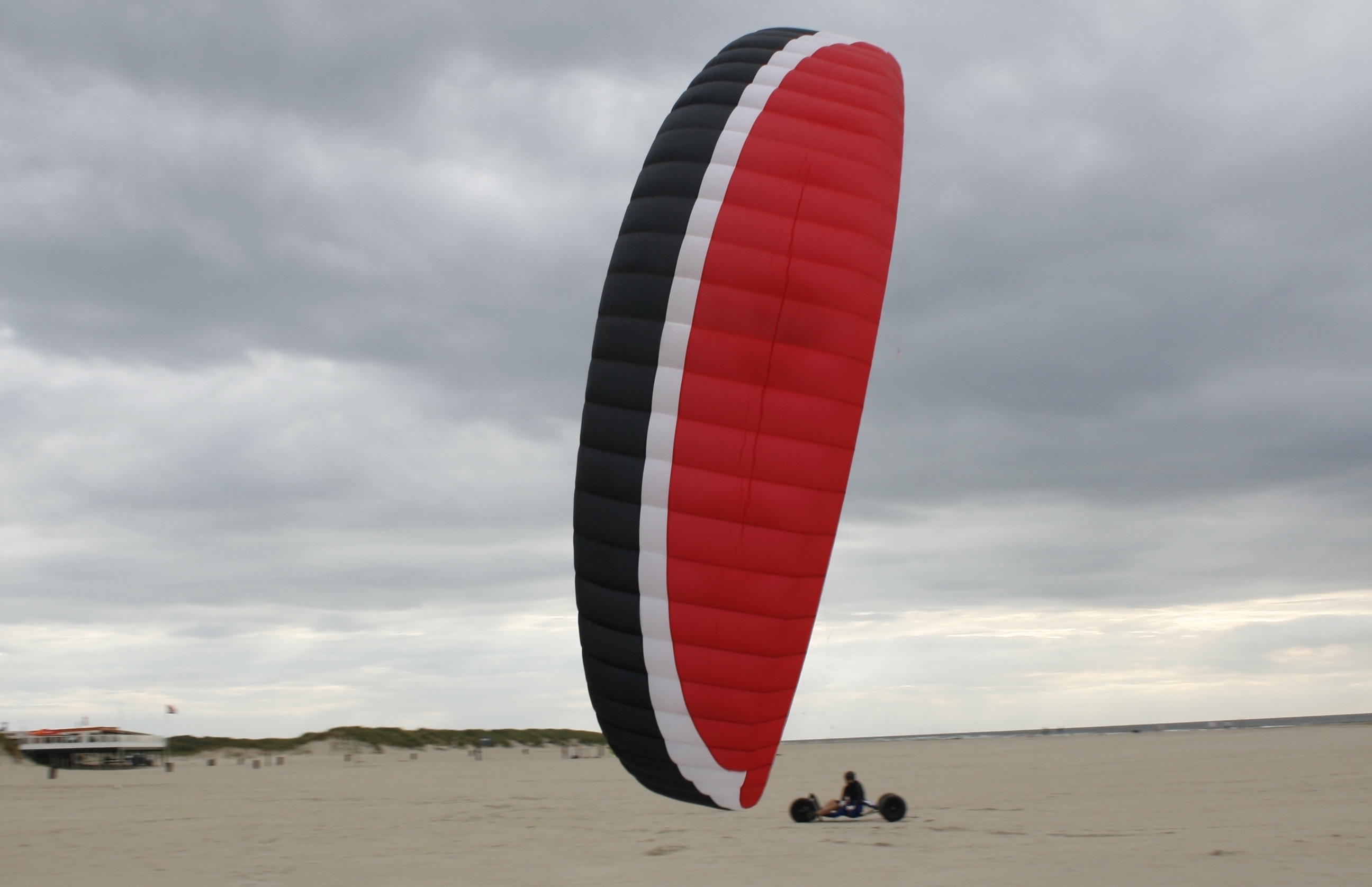 Yackes am Strand von Ouddorp