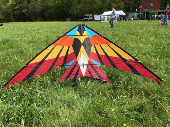 Sky Delight Kites Kestrel, designed by Joel Scholz