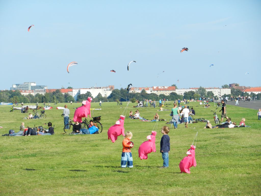 Können Schweine fliegen?