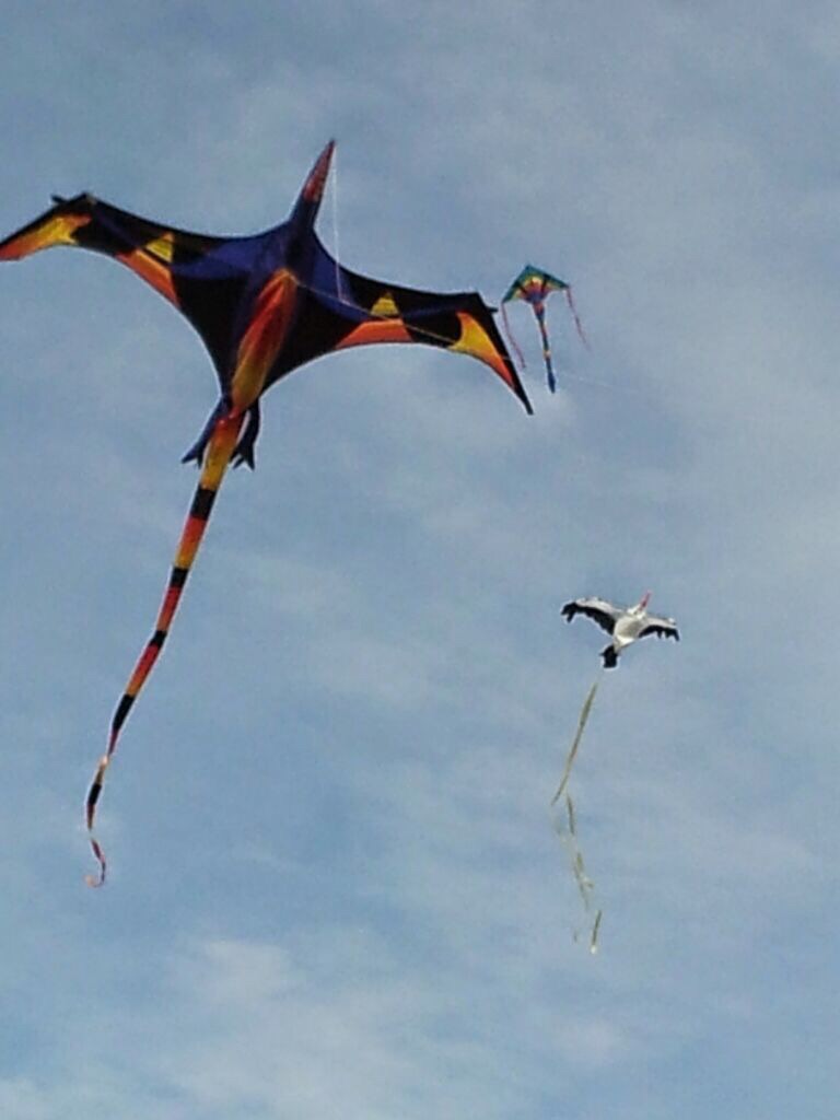 My Dragon
