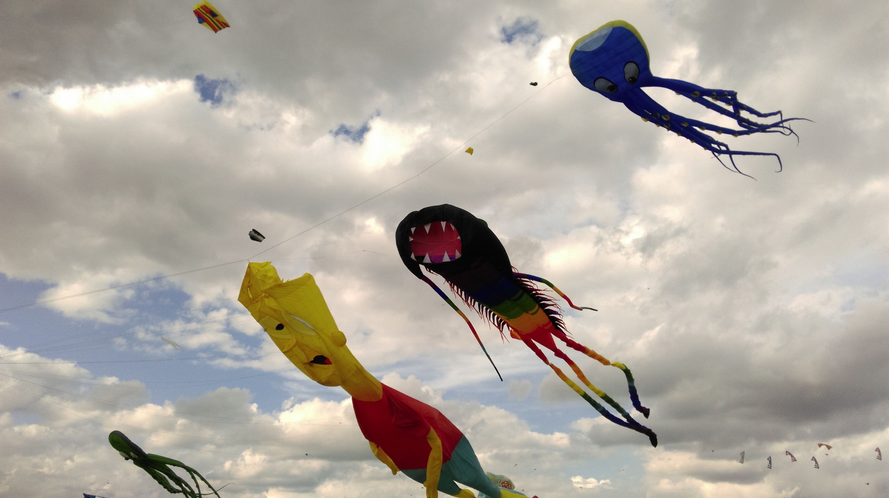 Tempelhofer Feld, Festival der Riesendrachen 2017