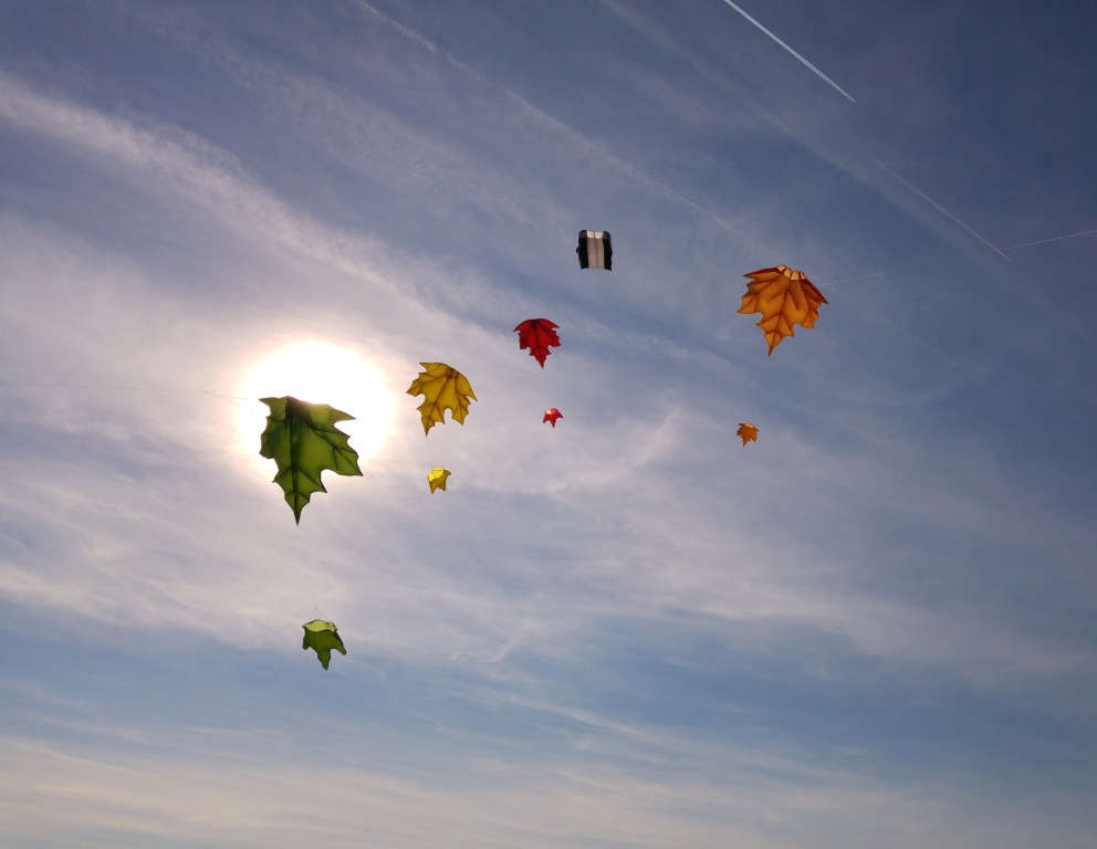 Herbstliche Stimmung