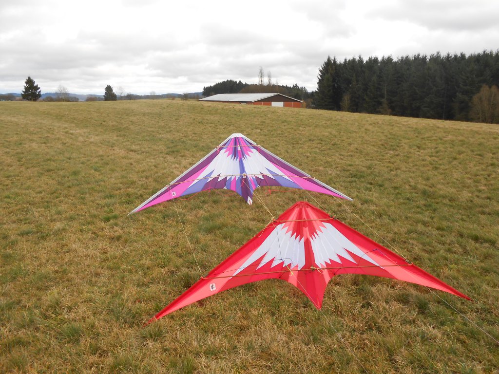 Long Dart Stückwark Vario und Großer Bruder