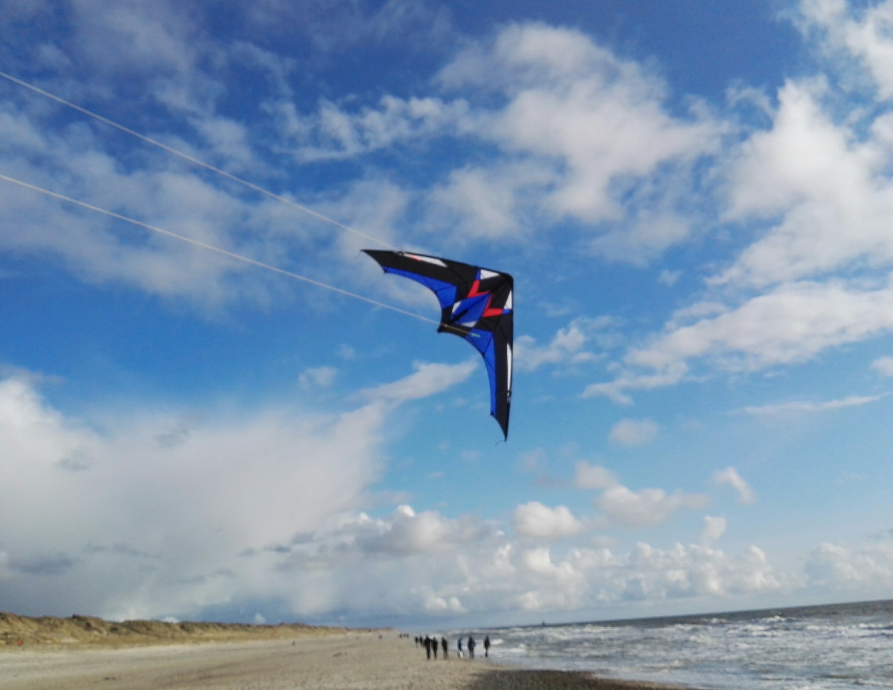 Spacekites Torero