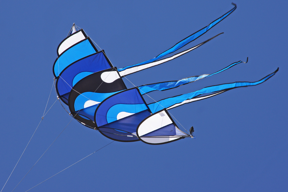 Bowkite