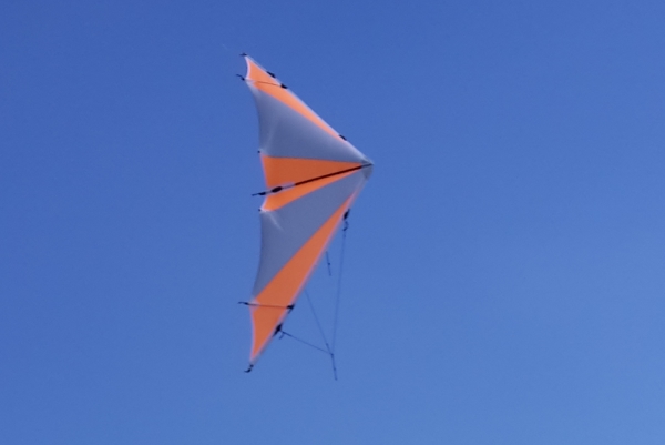 Speedfreak IV