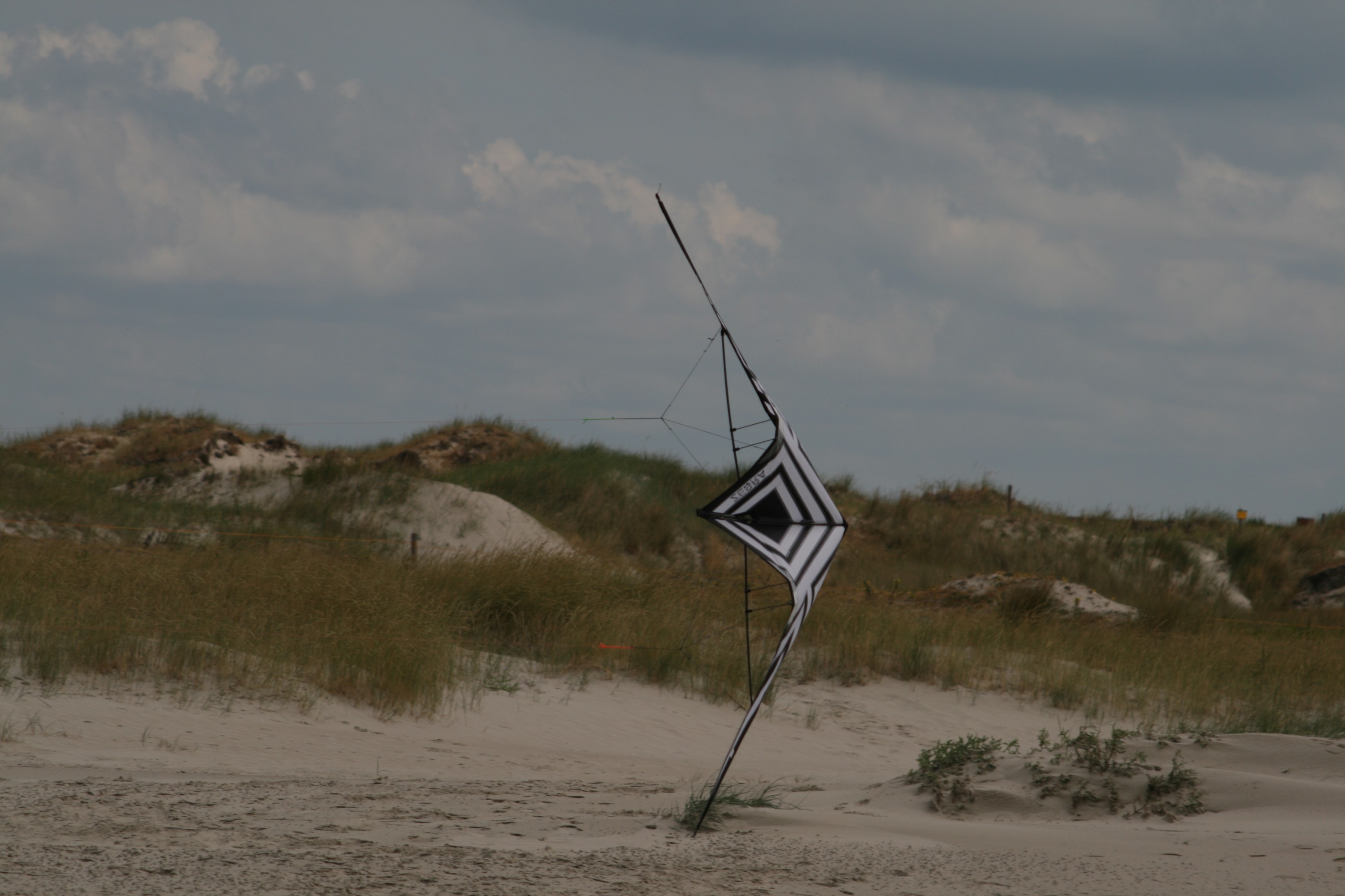 Das HQ Zebra rockt SPO! Super Trickkite.