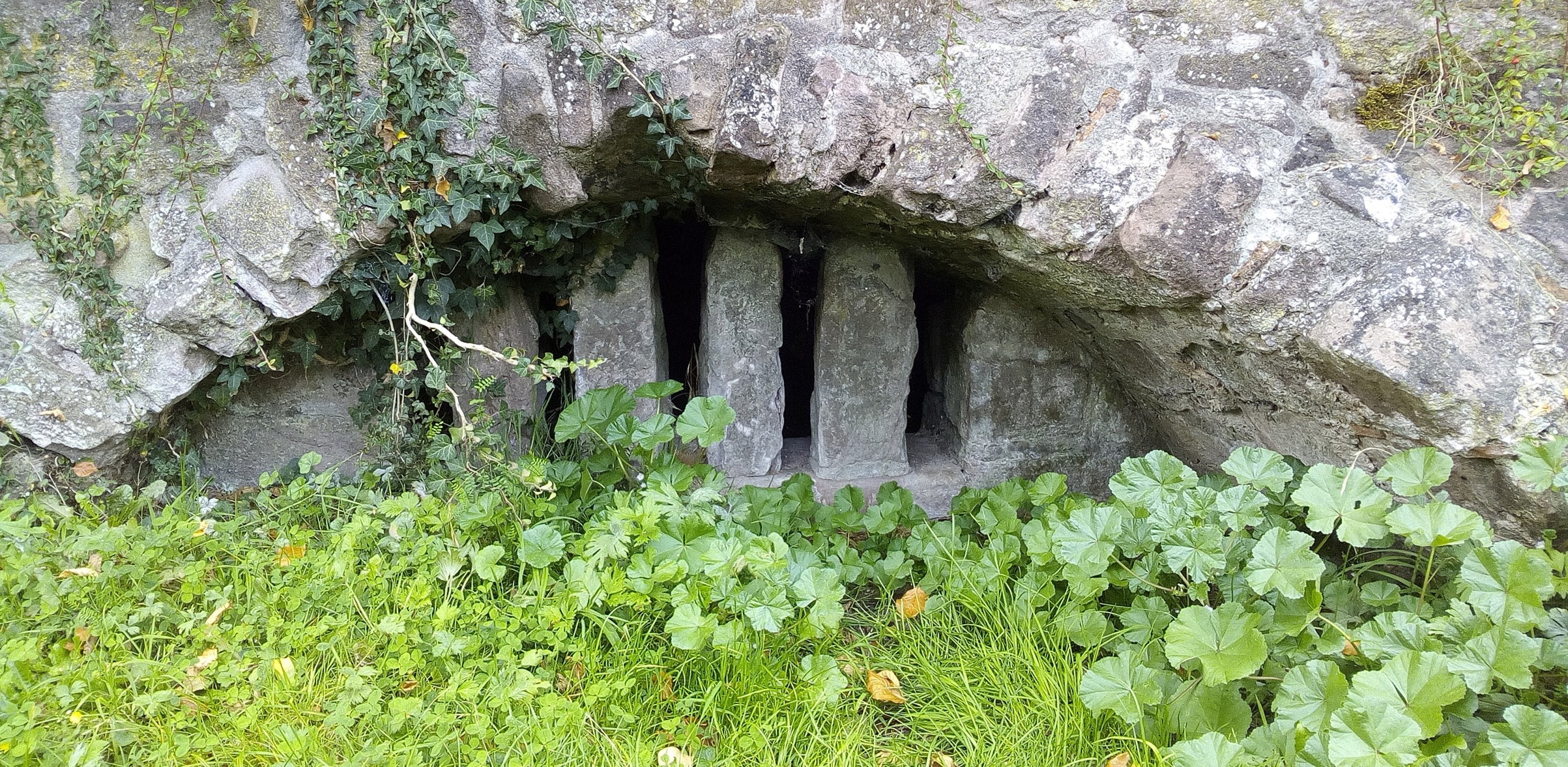 Klosterruine Hirsau - dies war ein Benediktinerkloster in Hirsau im Nordschwarzwald.