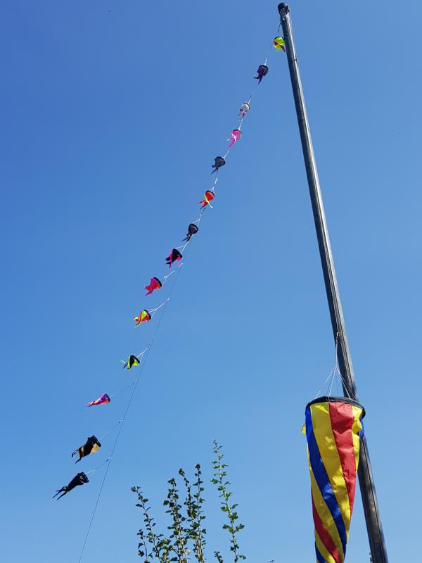 Kite Mix