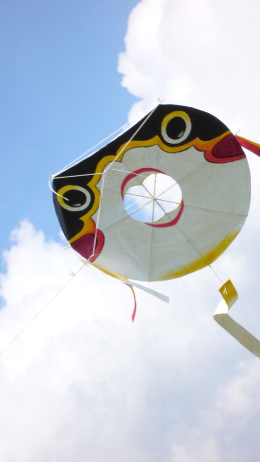 Fugu Eigenbau in der Luft