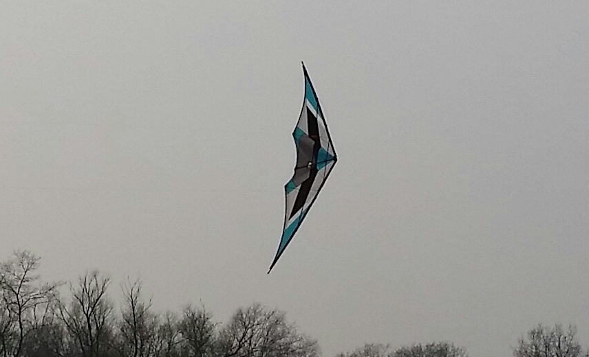 Enzo Diamondkite