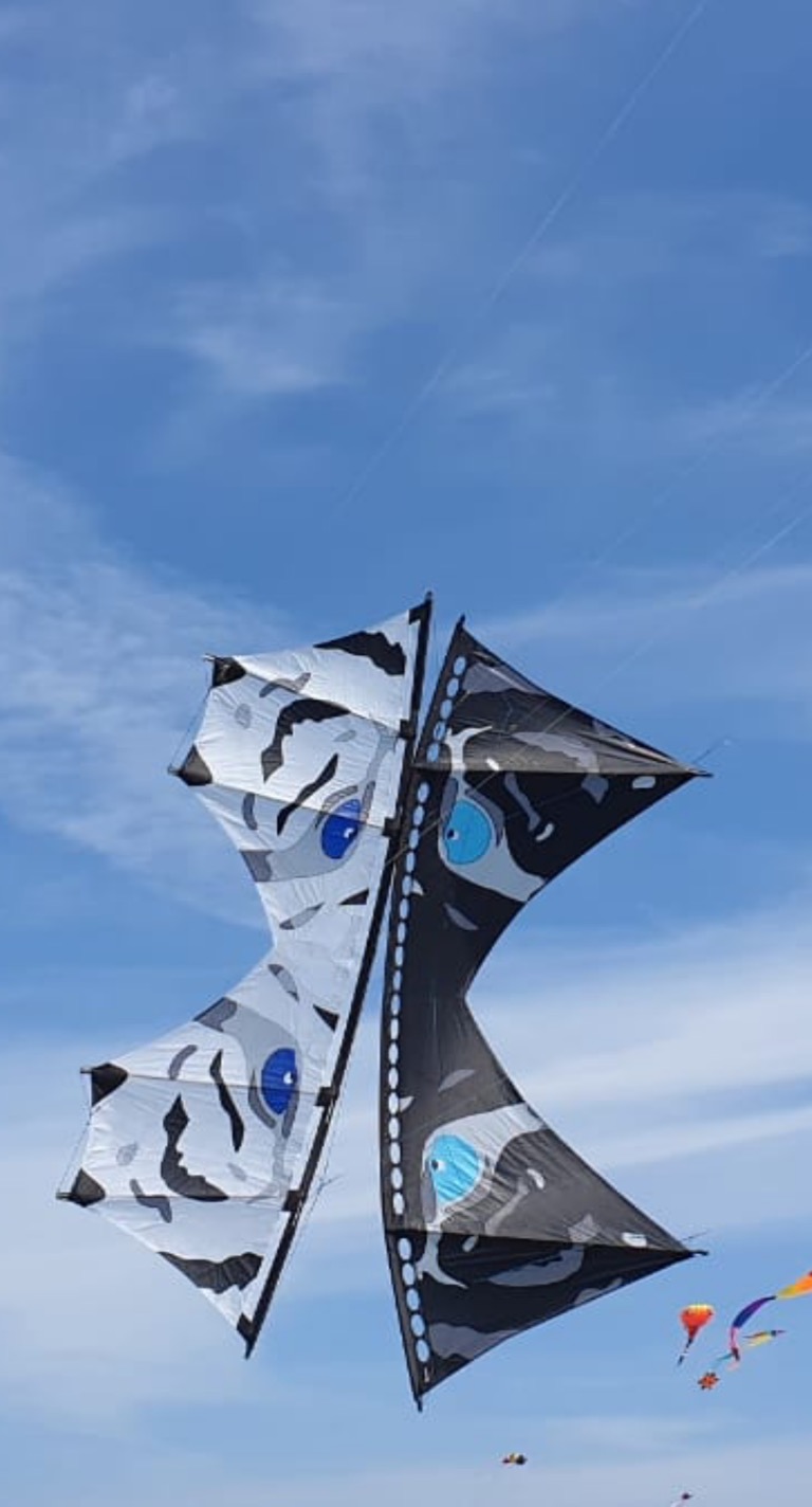 Tiger in Norddeich