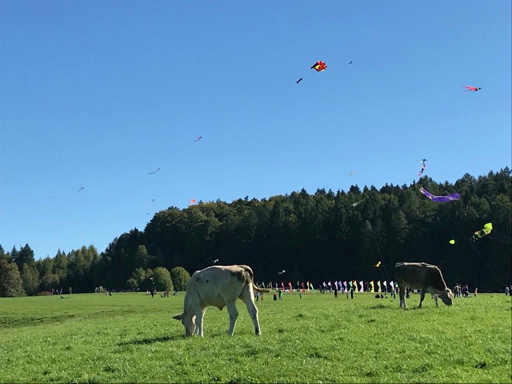 Drachenfest Weingarten 29.09.2019