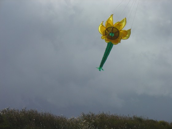 Selfmade flying Flower
