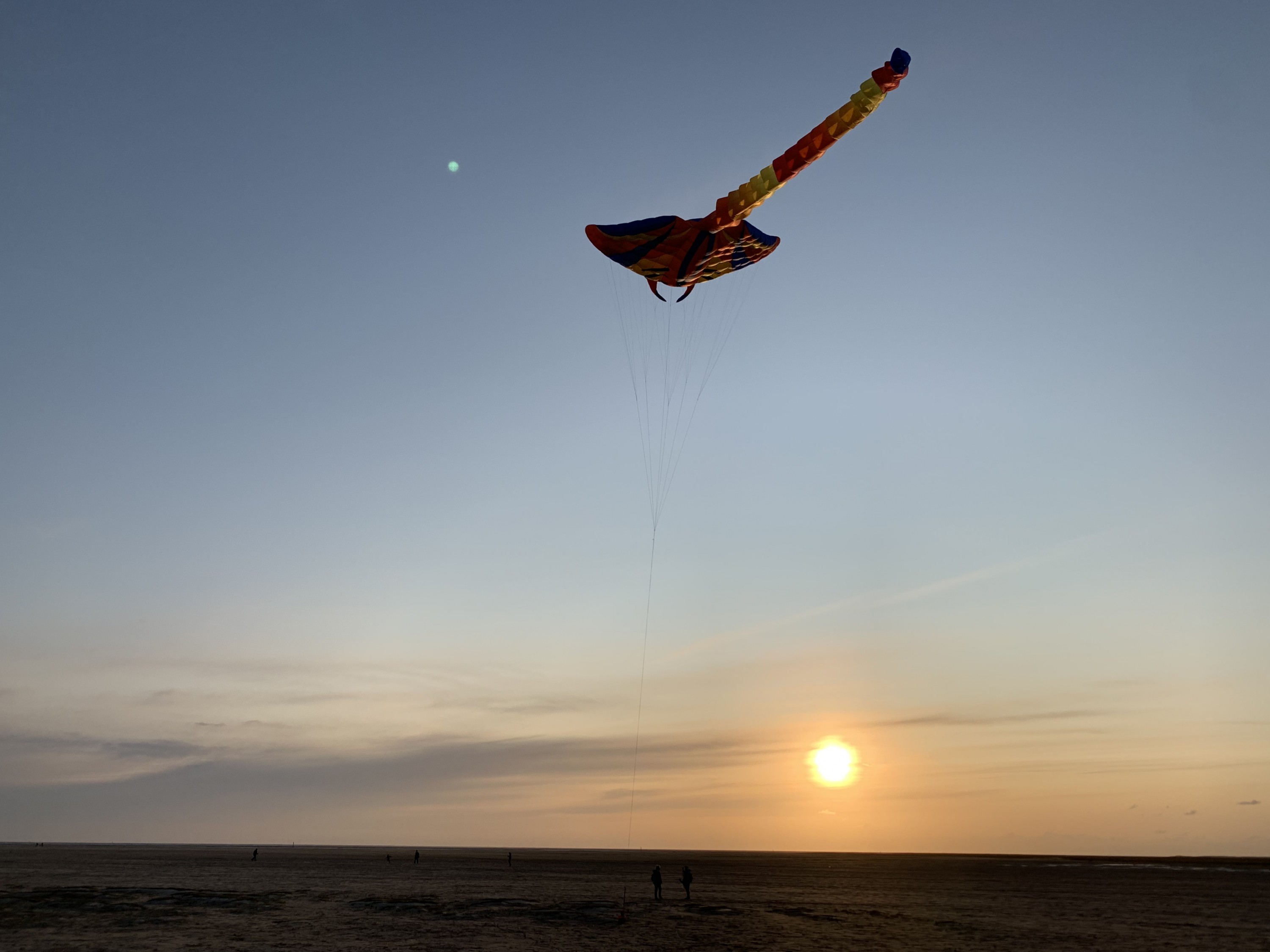 Manta fliegt in den Sonnenuntergang von SPO