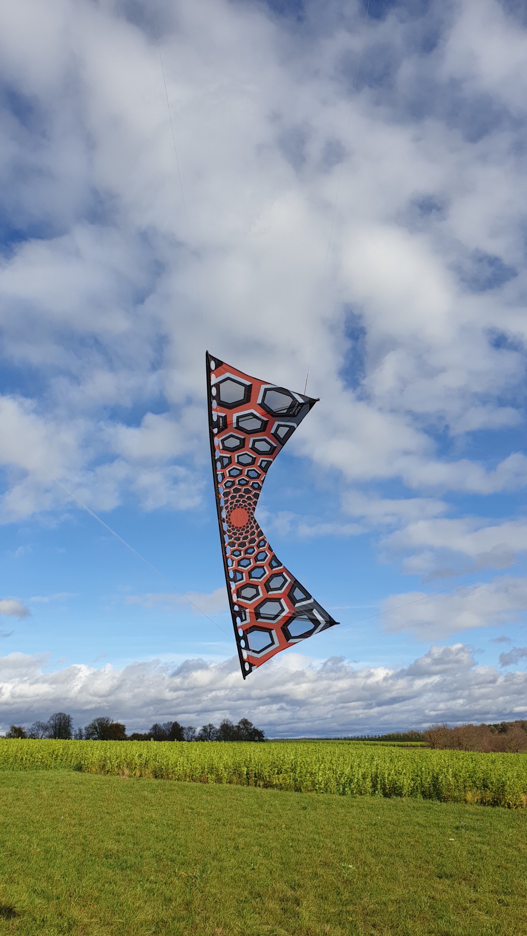 KQK Custom Kite, DotiKiteDesign Model 1 MidVented