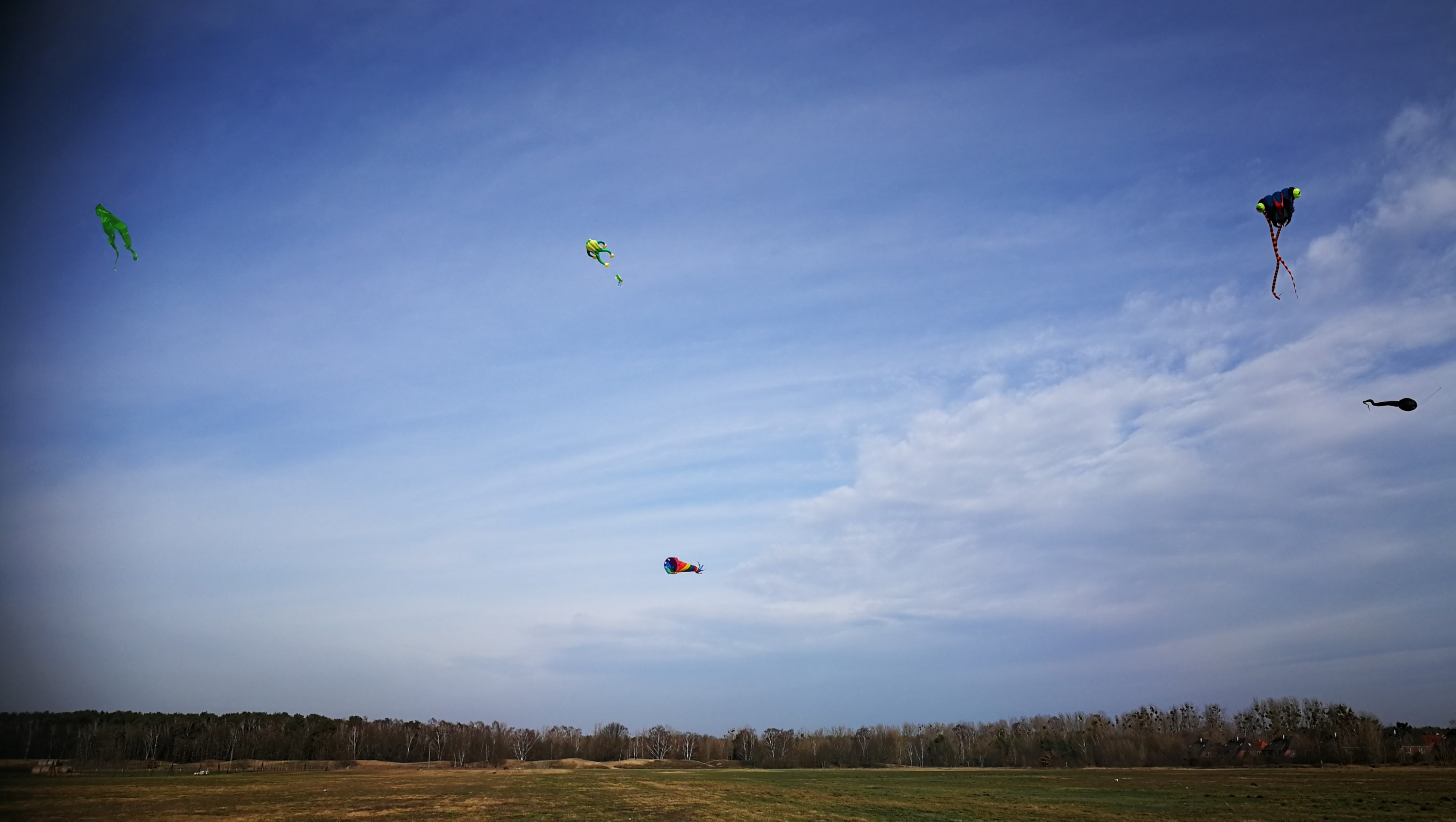 Der Wind vor dem Sturm