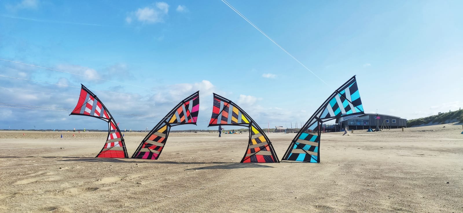 Vier Vögel am Strand.