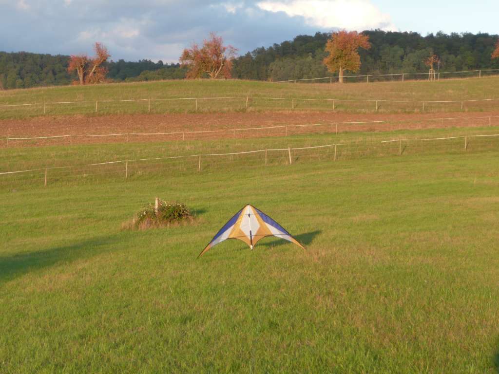 Zodiac 2.5 auf der Wiese