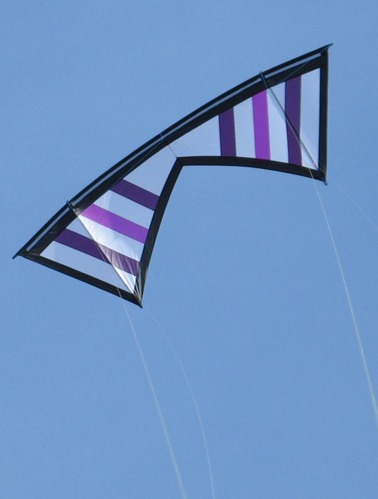 "baSicarex" shades of purple