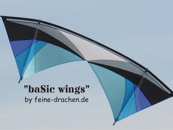 "baSic wings" von feine-drachen.de