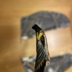 Panying Eagle und Weel