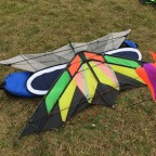 Div. Kites