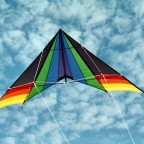 Hawaiian Teamkite / Top Of The Line