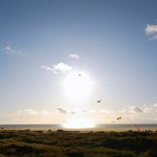 Fanø Strand