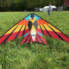 Sky Delight Kites Kestrel, designed by Joel Scholz