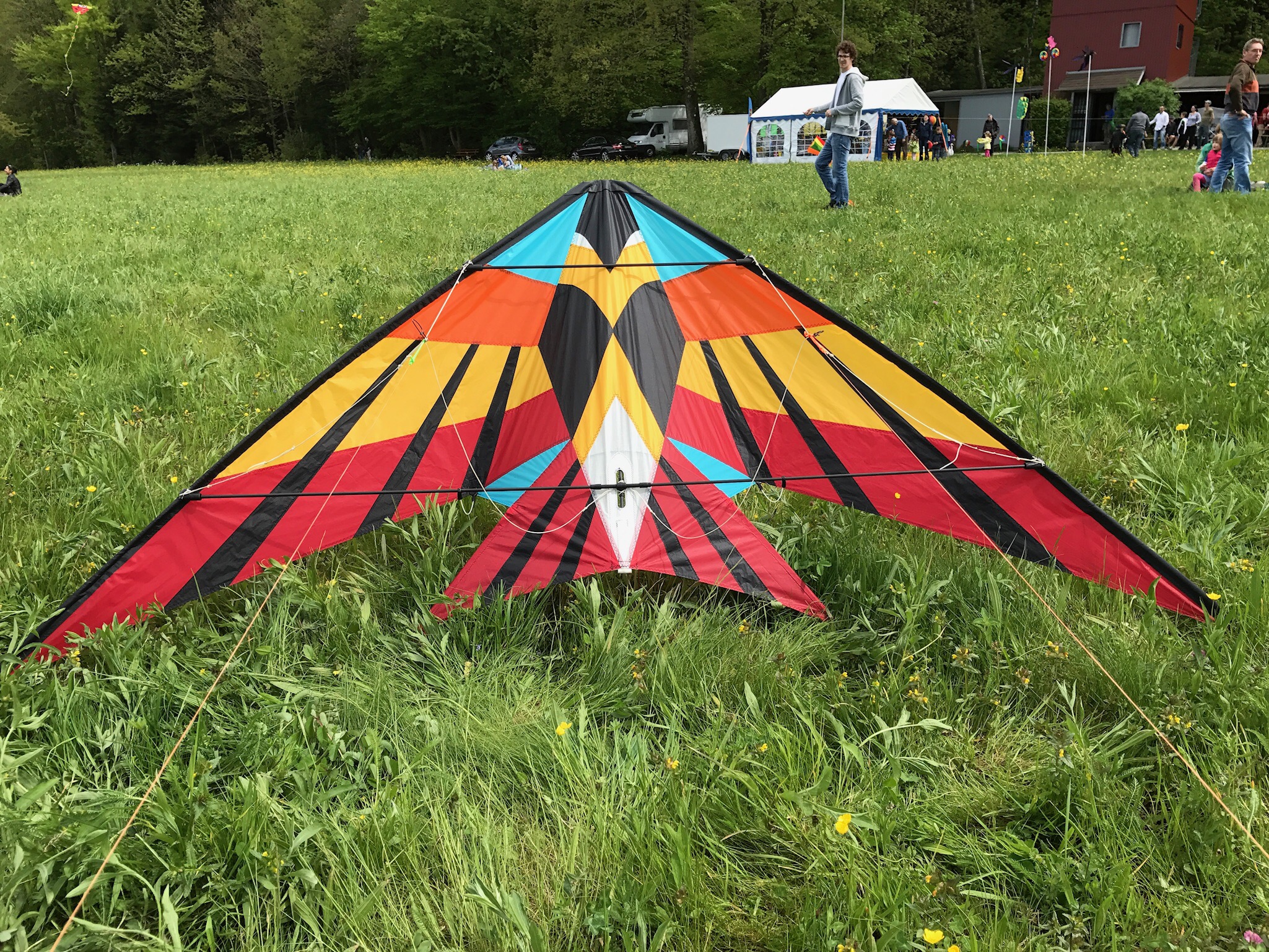 Sky Delight Kites Kestrel, designed by Joel Scholz Galerie Drachen