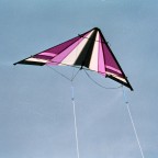 Mini Hawaiian / Elliot Action Kites