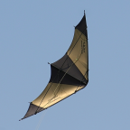 S-Kite 0.9 WM strong - Bild 2