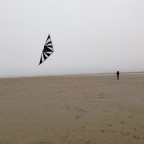 Scirocco von Skyland Kites