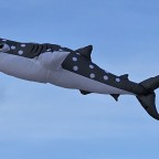 Walhai aus PLK-Kit beim Erstflug